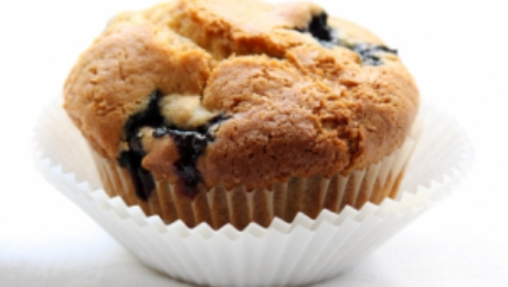 blueberry muffin low carb recipe by medical weight loss philadelphia